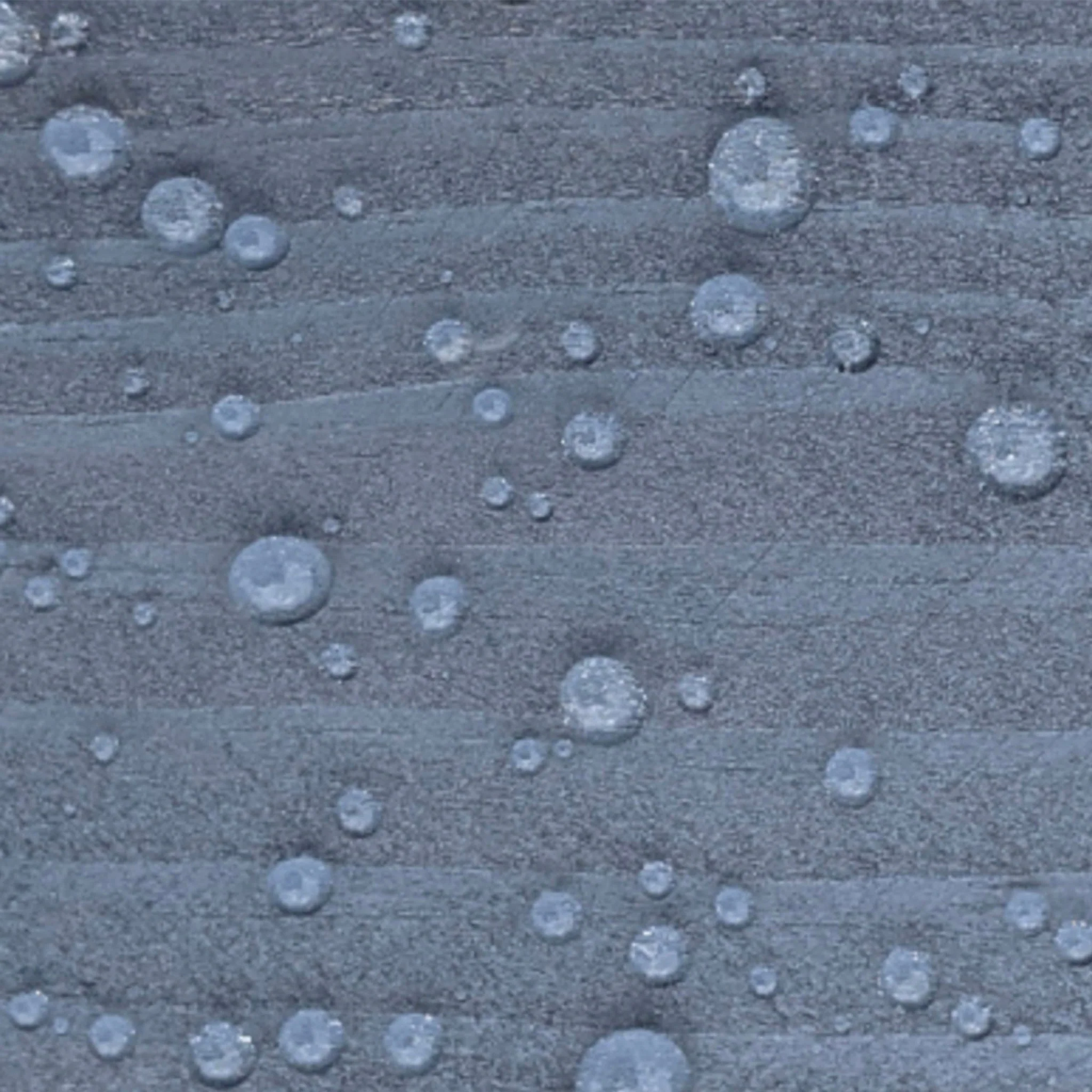 Bird Brand Complete+ Superior Wood Preserver - Image 10