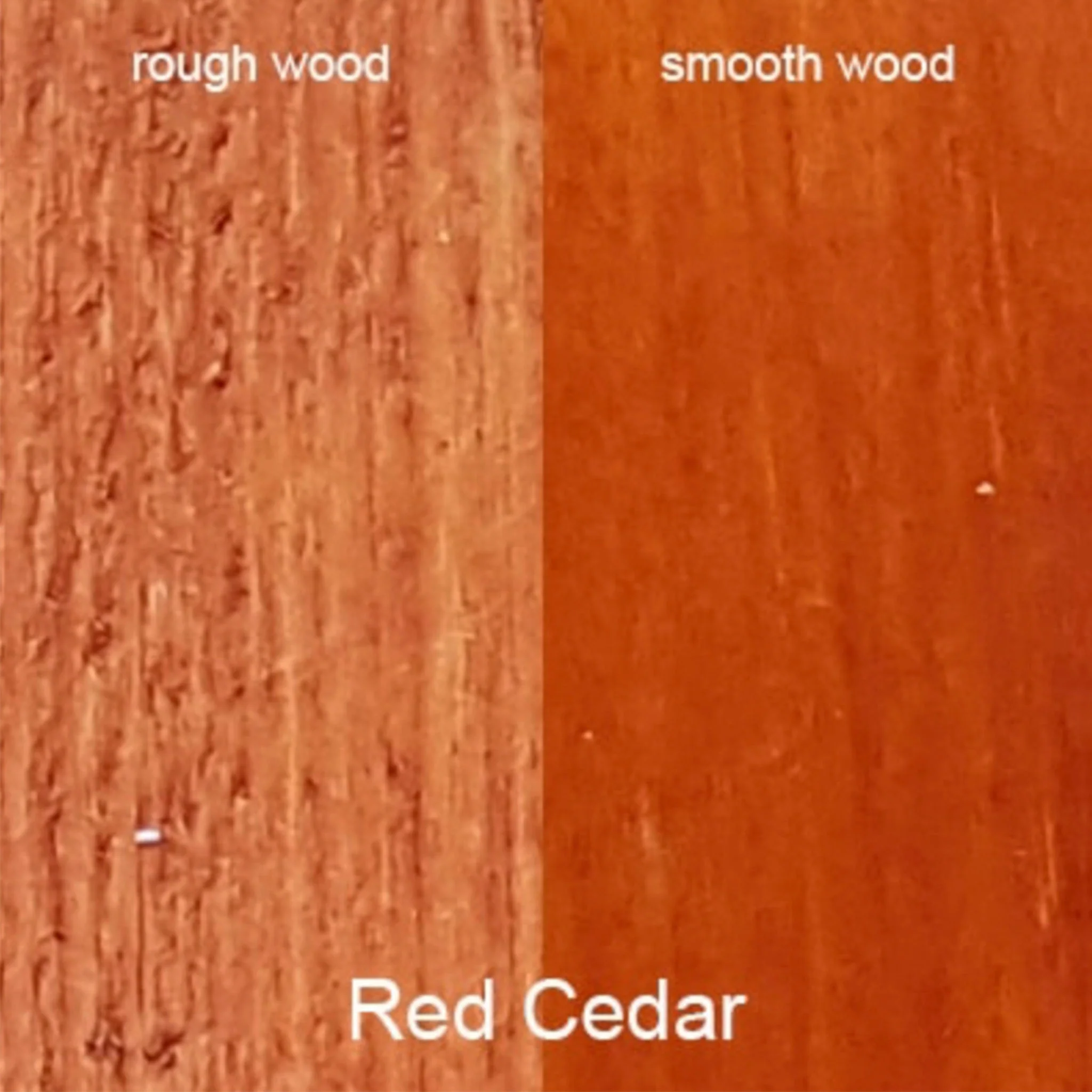 Bird Brand Complete+ Superior Wood Preserver - Image 8