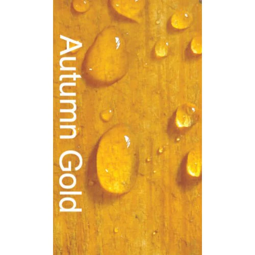 Bird Brand Shed & Fence One Coat Protection 5 Litres - Image 7